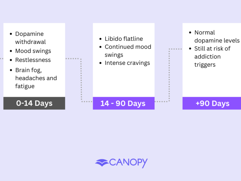 Effects Of Quitting Porn: Timeline and What To Expect
