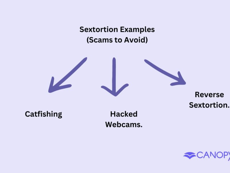 Sextortion Examples